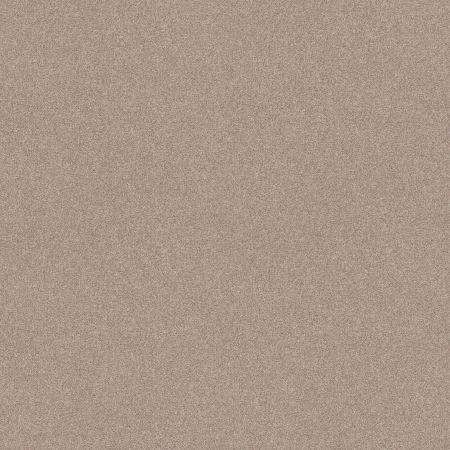 Shaw Floors Foundations Harmonious II Net Heirloom