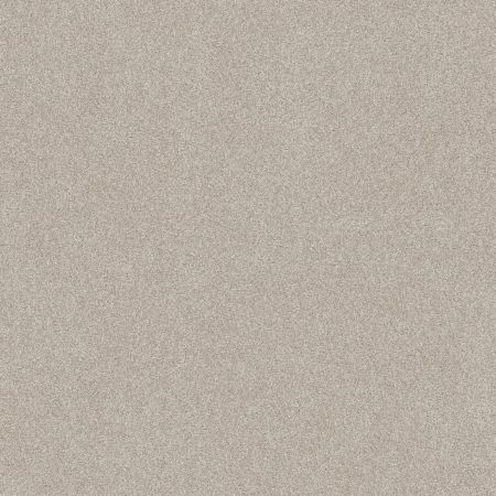 Shaw Floors Foundations Harmonious III Net Split Sediment