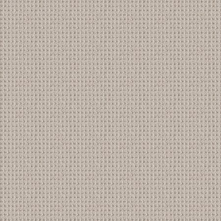 Shaw Floors Foundations Faint Intent Net Winters Dawn