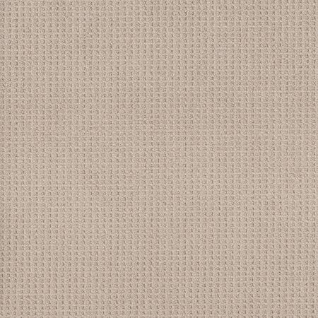 Shaw Floors Foundations Faint Intent Net Sun Kissed