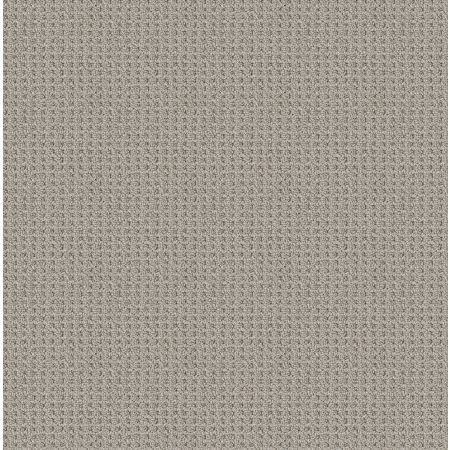 Shaw Floors Foundations Faint Intent Net Silver Lining