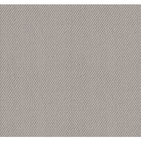 Shaw Floors Foundations Naturalistic Net Silver Lining