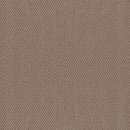 Shaw Floors Foundations Naturalistic Net Raw Wood