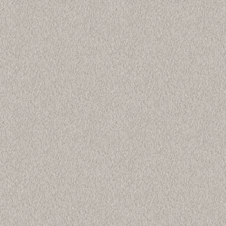 Shaw Floors Foundations Alluring Canvas Net Winters Dawn