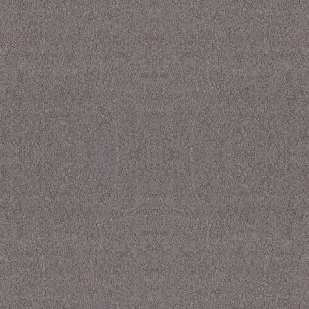 Shaw Floors Foundations Alluring Canvas Net Deep Connection