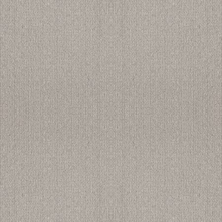 Shaw Floors Foundations Fine Tapestry Net Split Sediment