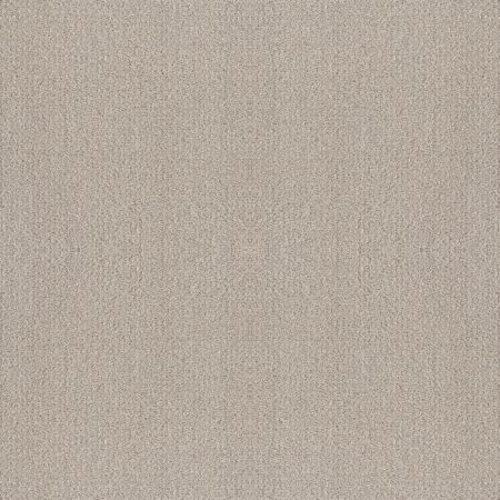 Shaw Floors Foundations Fine Tapestry Net Baltic Stone