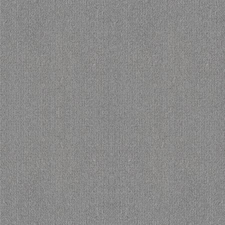 Shaw Floors Foundations Fine Tapestry Net Sentimental