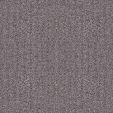 Shaw Floors Foundations Fine Tapestry Net Deep Connection