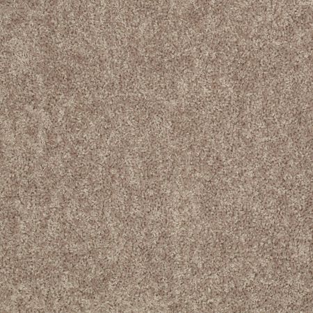 Shaw Floors Value Collections Take Away (s) Net Ridge