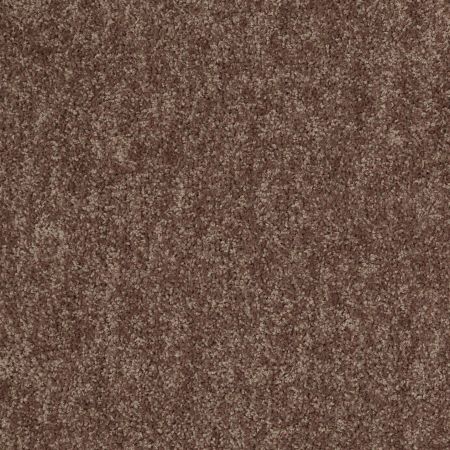 Shaw Floors Value Collections Take Away (s) Net Canoe