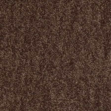 Shaw Floors Value Collections Take Away (s) Net Mocha