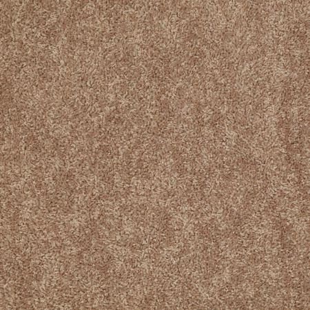 Shaw Floors Value Collections Take Away (s) Net Dakota