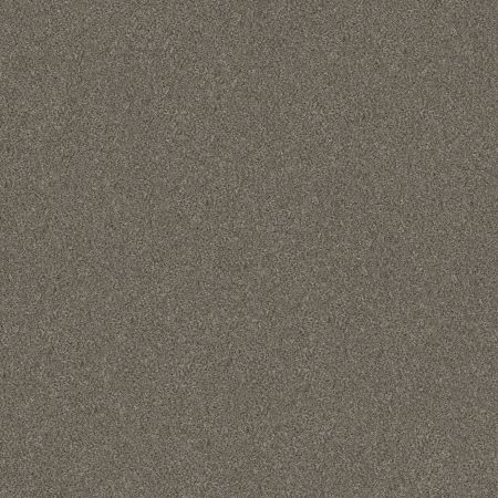 Shaw Floors Simply The Best Without Limits I Misty Mica