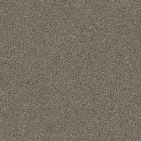 Shaw Floors Simply The Best Without Limits I Saddle Tan