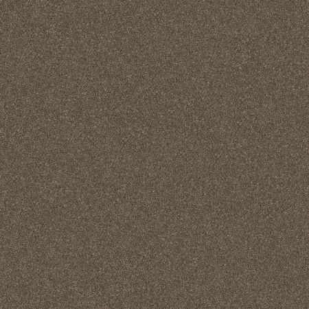 Shaw Floors Simply The Best Without Limits I Bountiful