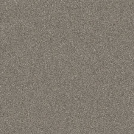 Shaw Floors Simply The Best Without Limits II Abalone