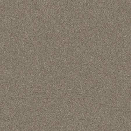 Shaw Floors Simply The Best Without Limits II Macadamia