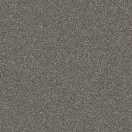 Shaw Floors Simply The Best Without Limits II Tundra