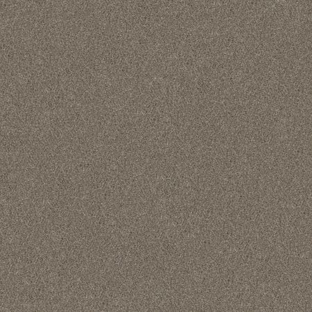 Shaw Floors Simply The Best Without Limits III Saddle Tan