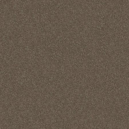 Shaw Floors Simply The Best Without Limits III Bountiful