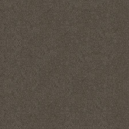 Shaw Floors Simply The Best Boundless I Gateway