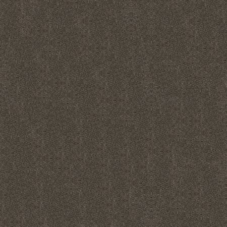 Shaw Floors Simply The Best Boundless II Cabana