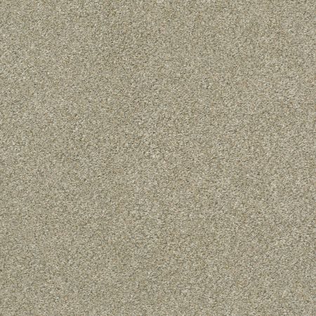 Shaw Floors Simply The Best Boundless III Morning Light