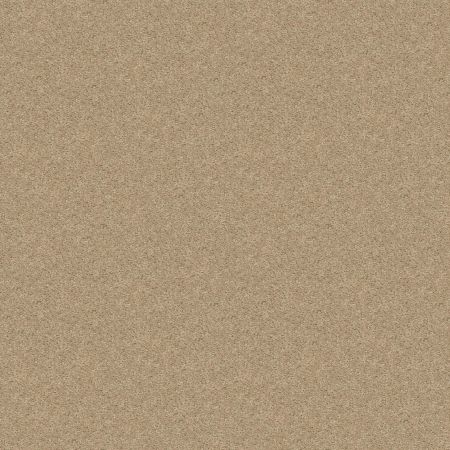 Shaw Floors Shaw Design Center Royal Portrush 1 12 Net Flax Seed