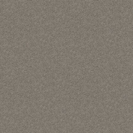 Shaw Floors Shaw Design Center Royal Portrush 1 12 Net Ink Spot