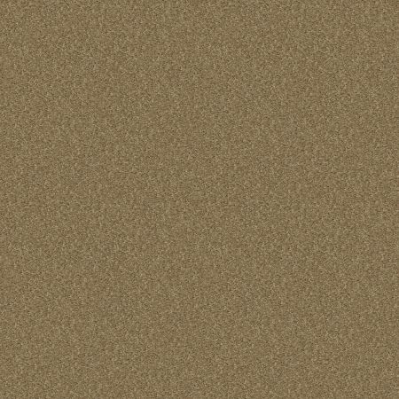 Shaw Floors Shaw Design Center Royal Portrush 1 12 Net Granola