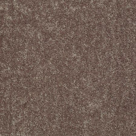 Shaw Floors Shaw Design Center Royal Portrush 1 12 Net Driftwood