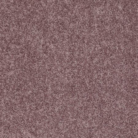 Shaw Floors Shaw Design Center Royal Portrush 1 12 Net Molasses