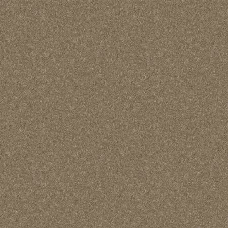 Shaw Floors Shaw Design Center Royal Portrush 1 12 Net River Slate