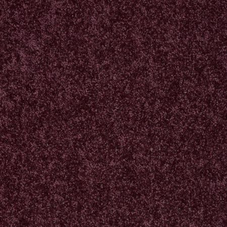 Shaw Floors Shaw Design Center Royal Portrush 1 12 Net Royal Purple