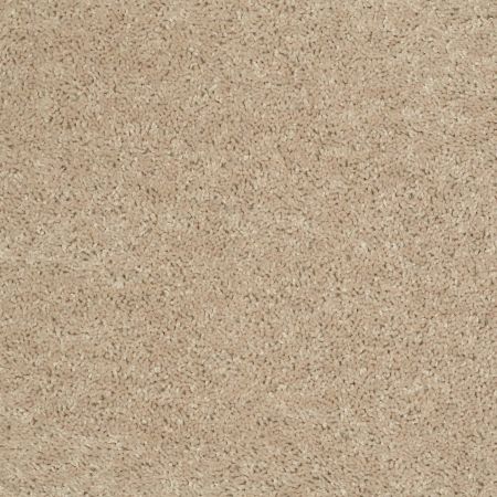 Shaw Floors Shaw Design Center Royal Portrush 1 15 Net Flax Seed