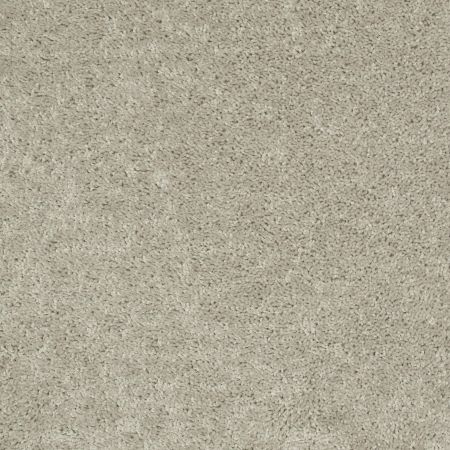 Shaw Floors Shaw Design Center Royal Portrush 1 15 Net Bare Mineral