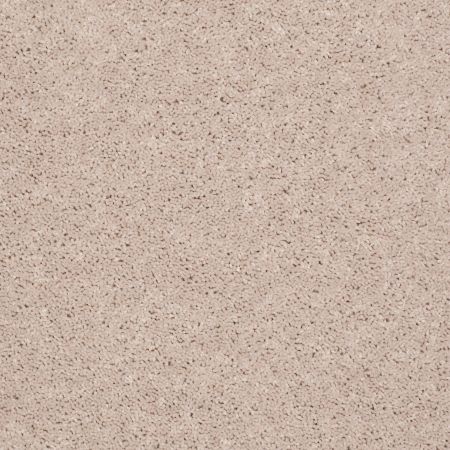 Shaw Floors Shaw Design Center Royal Portrush 1 15 Net Butter Cream