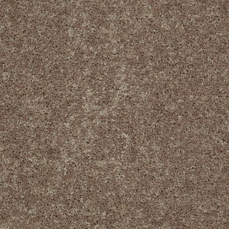 Shaw Floors Shaw Design Center Royal Portrush 1 15 Net Hearth Stone