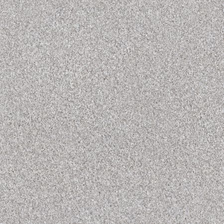 Shaw Floors Pet Perfect Influencer Net Silver Lining