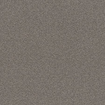 Shaw Floors Pet Perfect Influencer Net Fossil Path