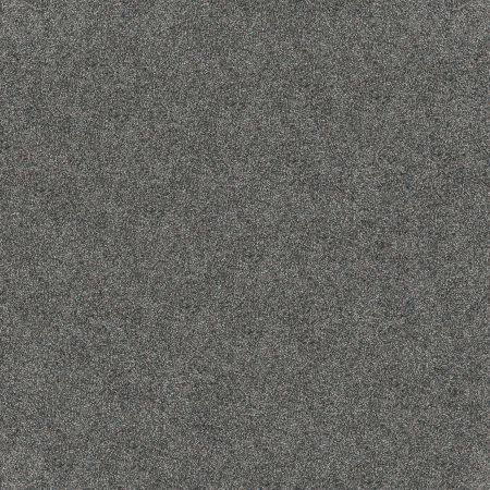 Shaw Floors Pet Perfect Influencer Net Turquoise Jewel