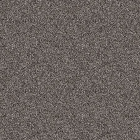 Shaw Floors Pet Perfect Influencer Net Desert View