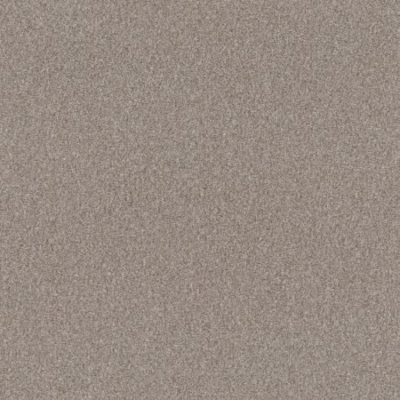 Shaw Floors Pet Perfect Influencer Net Baltic Stone