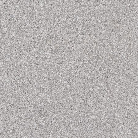 Shaw Floors Pet Perfect Grandiose Net Silver Lining