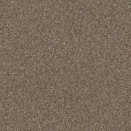 Shaw Floors Pet Perfect Grandiose Net Raw Wood