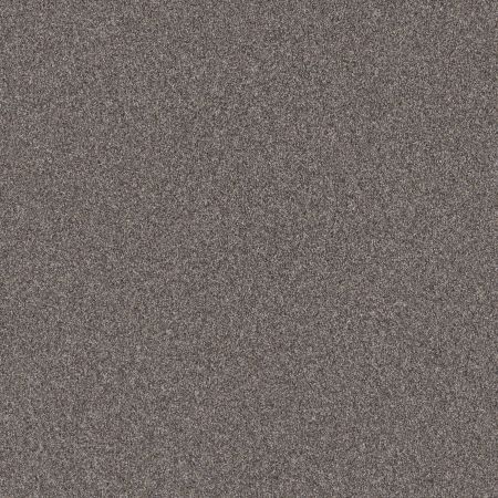 Shaw Floors Pet Perfect Grandiose Net Desert View