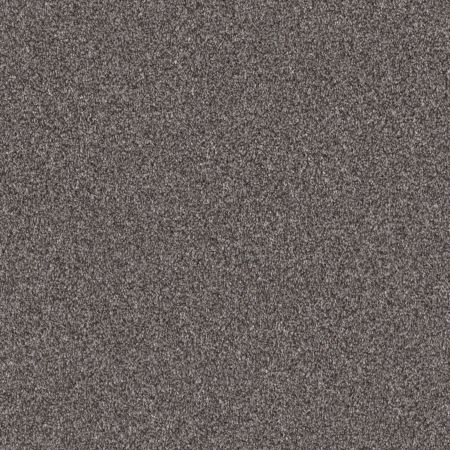 Shaw Floors Pet Perfect Grandiose Net Sentimental