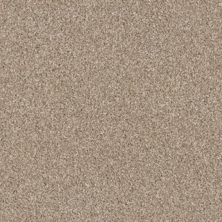 Shaw Floors Pet Perfect Grandiose Net Sunkissed