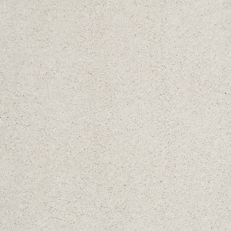 Shaw Floors Caress By Shaw Cashmere Classic II Net Suffolk